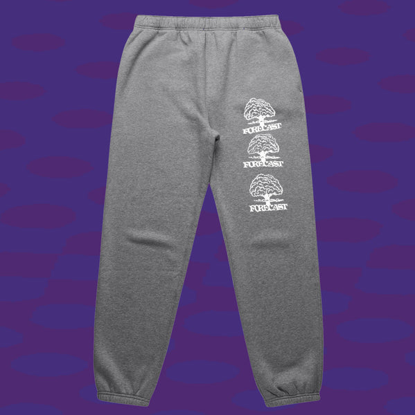 BRAINFREEZE JOGGERS - GREY